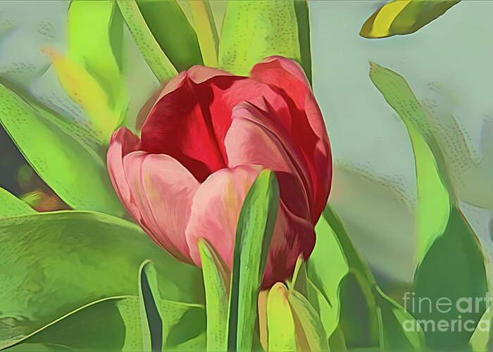 Tulips Greeting Card featuring the photograph Orange Tulip in Watercolor by Diana Mary Sharpton