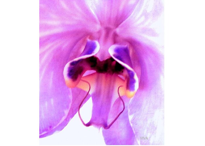 Orchid Greeting Card featuring the photograph Orchid-InnerSecrets by VIVA Anderson