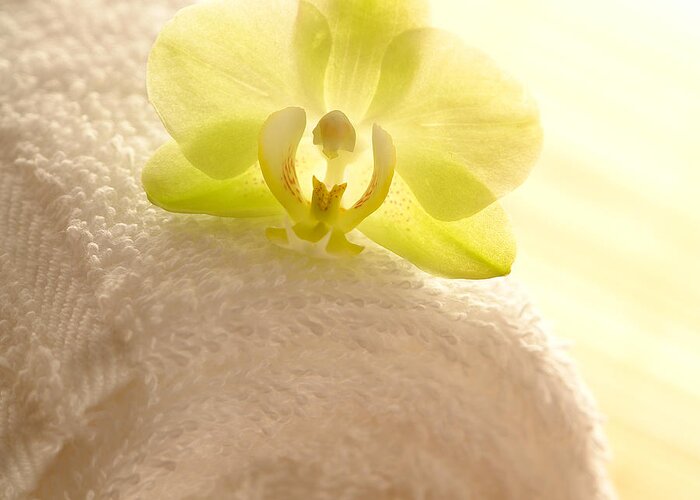Orchid Greeting Card featuring the photograph Orchid on Towel by Olivier Le Queinec