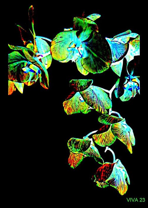 Orchids Fantasy Greeting Card featuring the digital art Orchids - A Fantasy by VIVA Anderson