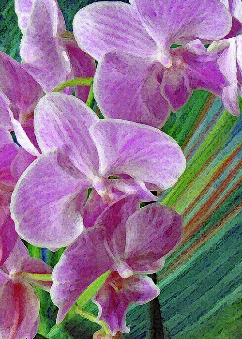 Orchid Greeting Card featuring the photograph Orchids and Palms by Corinne Carroll