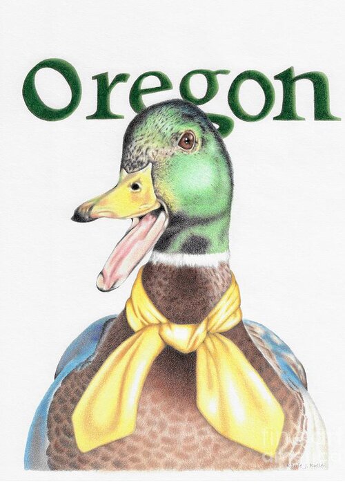 Oregon Greeting Card featuring the drawing Oregon Duck by Karrie J Butler