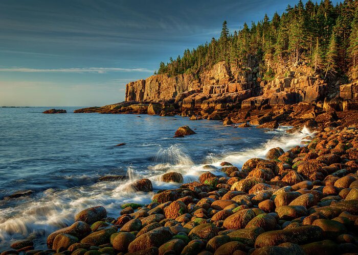 Acadia Greeting Card featuring the photograph Otter Cliff 2461 by Greg Hartford