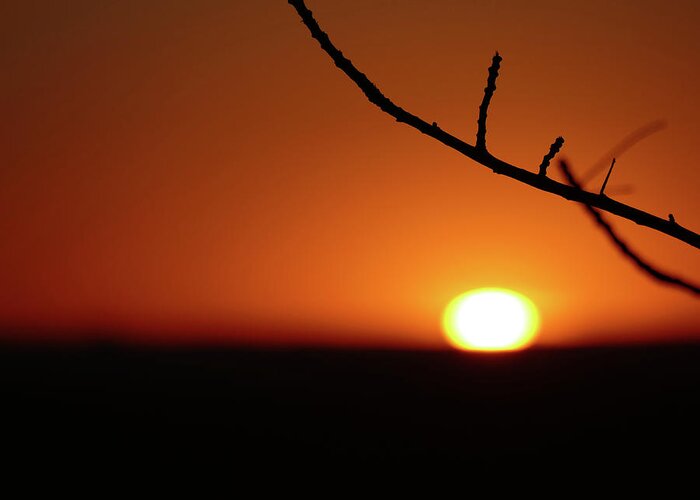 Sunset Greeting Card featuring the photograph Outback Sunset 1 by Maryse Jansen