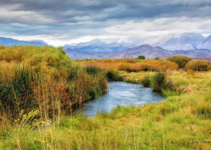 Owens-river Greeting Card featuring the photograph Owens River by Gary Johnson