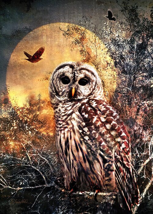 Photography Greeting Card featuring the photograph Owl in Moonlight by Shara Abel