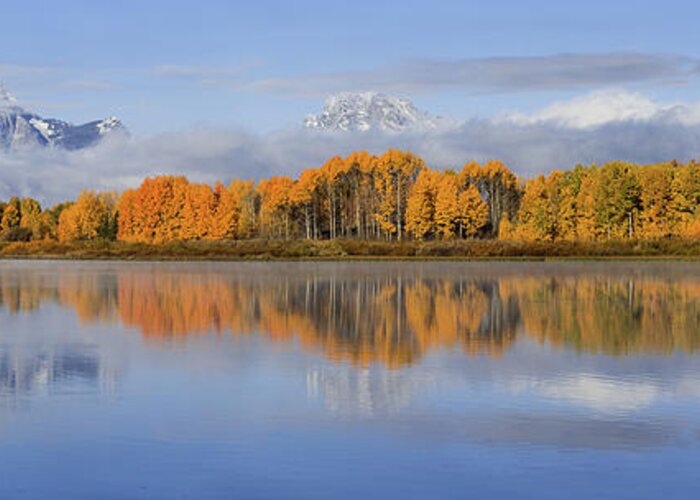 Oxbow Bend Greeting Card featuring the photograph Oxbow Bend Pano by Wesley Aston