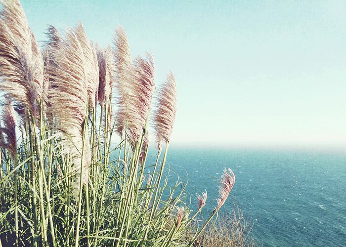 Pampas Grass Greeting Card featuring the photograph Pacific Sea and Pampas Grass by Lupen Grainne