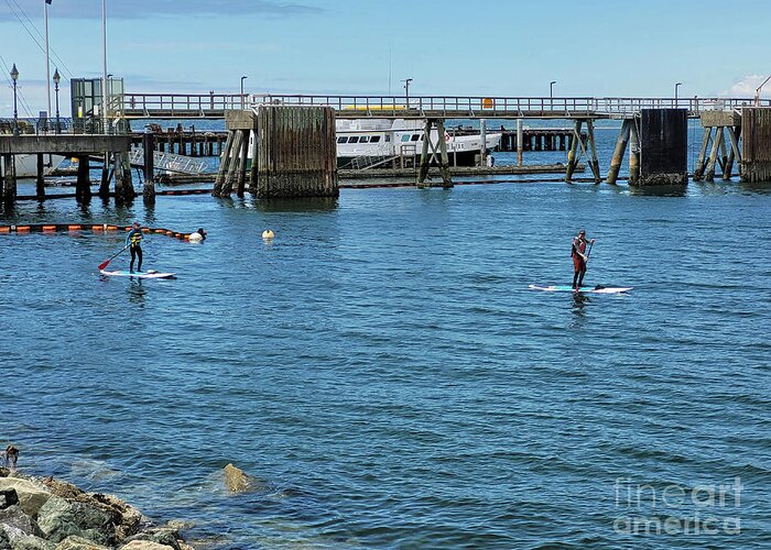 Paddle Boarders By Norma Appleton Greeting Card featuring the photograph Paddle Boarders by Norma Appleton