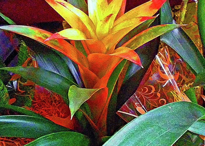 Plant Greeting Card featuring the photograph Painterly Plant by Andrew Lawrence