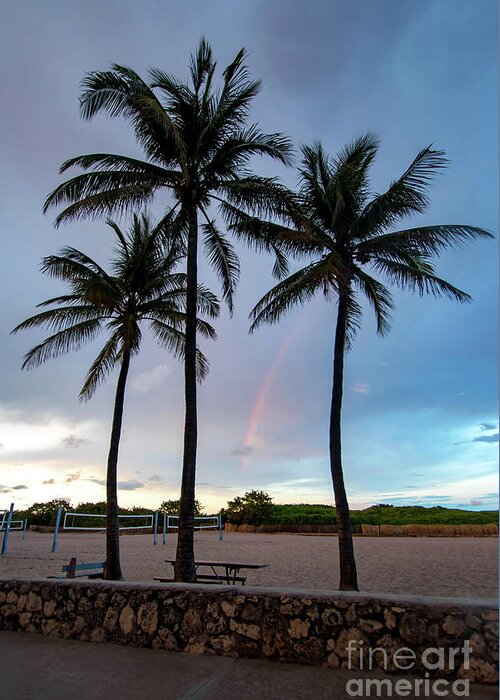 Rainbow Greeting Card featuring the photograph Palm Tree Rainbow, South Beach, Miami, Florida by Beachtown Views