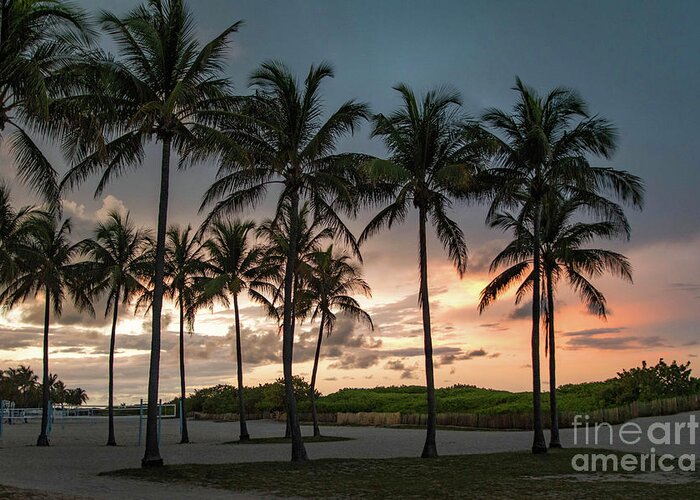 Sunset Greeting Card featuring the photograph Palm Tree Sunset, South Beach, Miami, Florida by Beachtown Views