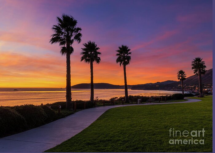 Sunset Greeting Card featuring the photograph Palms at Sunset by Mimi Ditchie