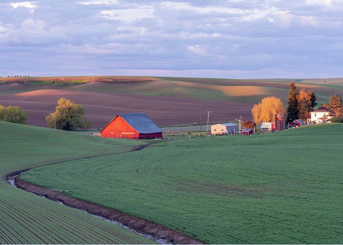Landscape Greeting Card featuring the photograph Palouse Barn #1 by Greg Waddell