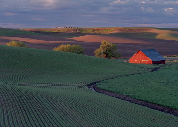 Palouse Greeting Card featuring the photograph Palouse Barn #2 by Greg Waddell