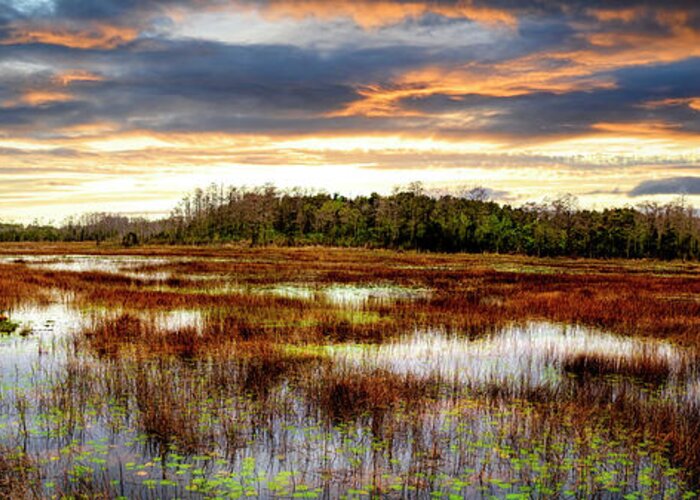 Clouds Greeting Card featuring the photograph Panorama Overlooking the Marsh by Debra and Dave Vanderlaan