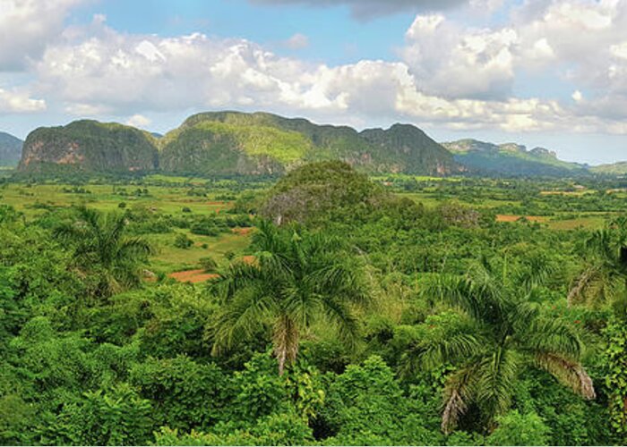 Cuba Greeting Card featuring the photograph Panoramic view of Cuban green rain forest by Mendelex Photography