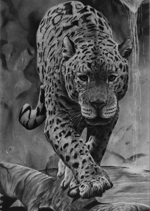 Jaguar Drawing Greeting Card featuring the drawing Panthera by Greg Fox