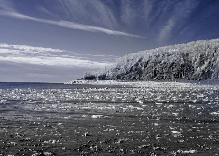 Infra Red Greeting Card featuring the photograph Partridge Island Blue by Alan Norsworthy