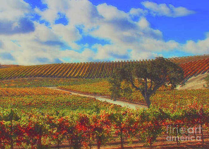 Wine Greeting Card featuring the photograph Paso Robles Wine Country by Stephanie Laird