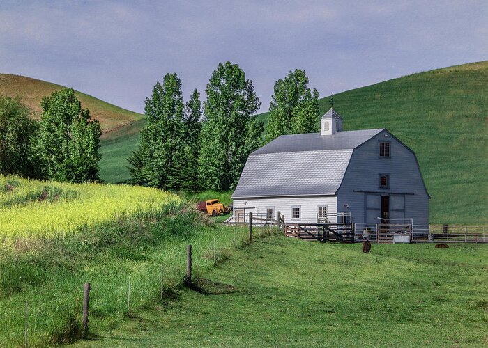  Greeting Card featuring the photograph Pastoral Palouse, Washington State by Marcy Wielfaert