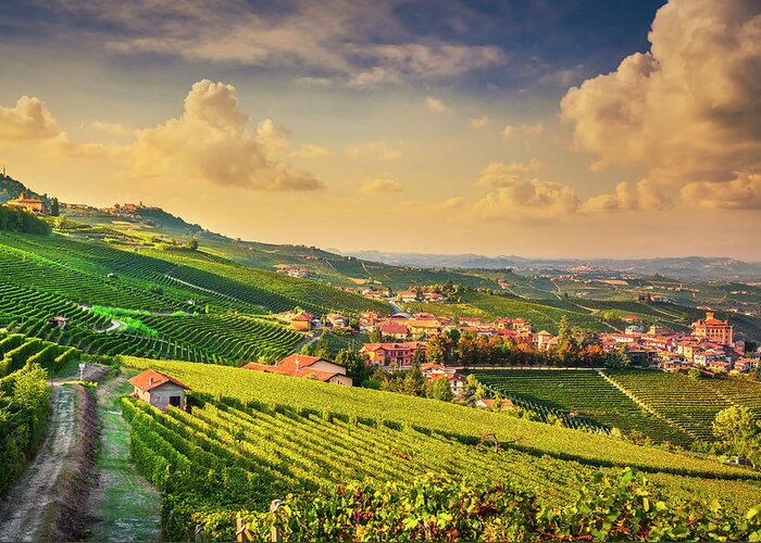 Vineyards Greeting Card featuring the photograph Path between the vineyards. Langhe region, Barolo by Stefano Orazzini