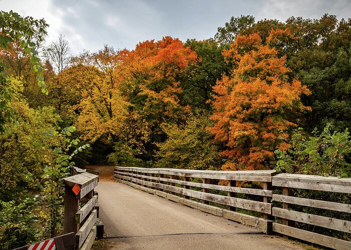 State Park Greeting Card featuring the photograph Path to Autumn by Andrew Miller