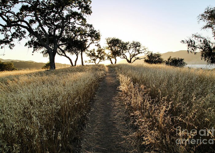 Cachuma Lake Greeting Card featuring the photograph Path to Cachuma by Erin Marie Davis