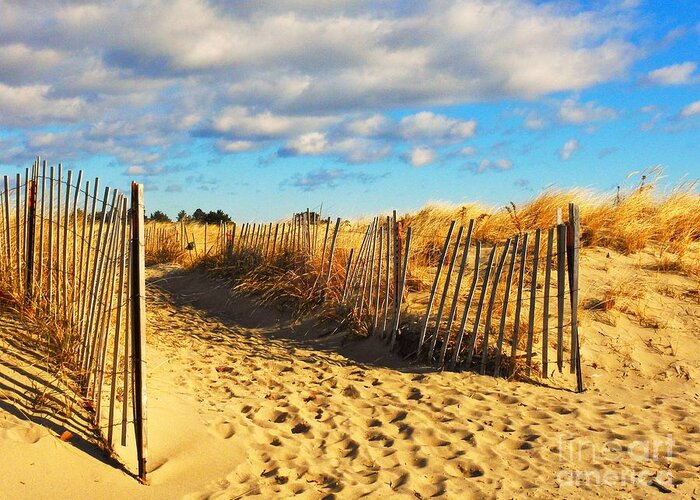 Sand Dunes Greeting Card featuring the photograph Pathway through the Dunes by Eunice Miller