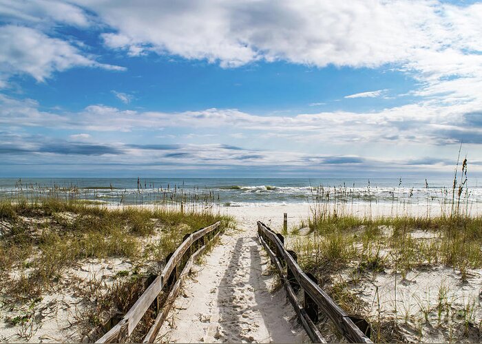 Path Greeting Card featuring the photograph Pathway to the Beach, Perdido Key, Florida by Beachtown Views