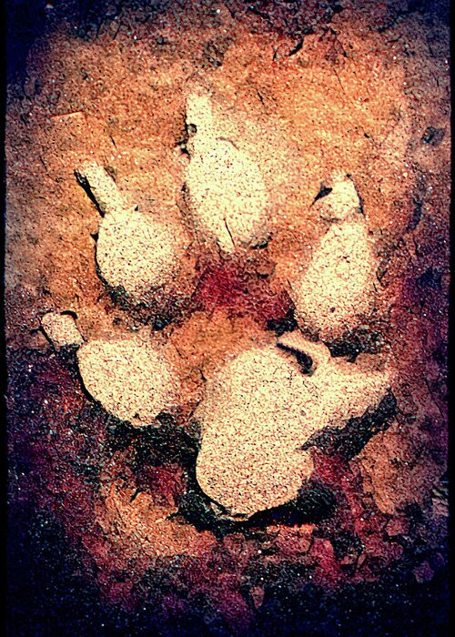 Pawprint Greeting Card featuring the photograph Paw Print burned sand by Cathy Anderson