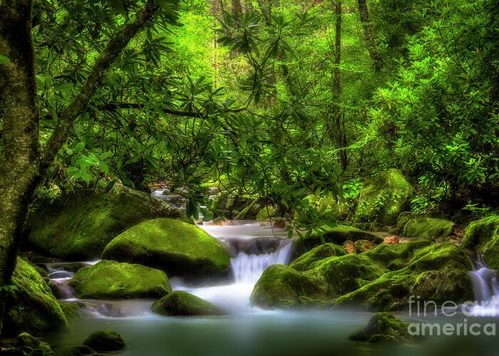 Waterfall Greeting Card featuring the photograph Peaceful Cascades in the Forest by Shelia Hunt