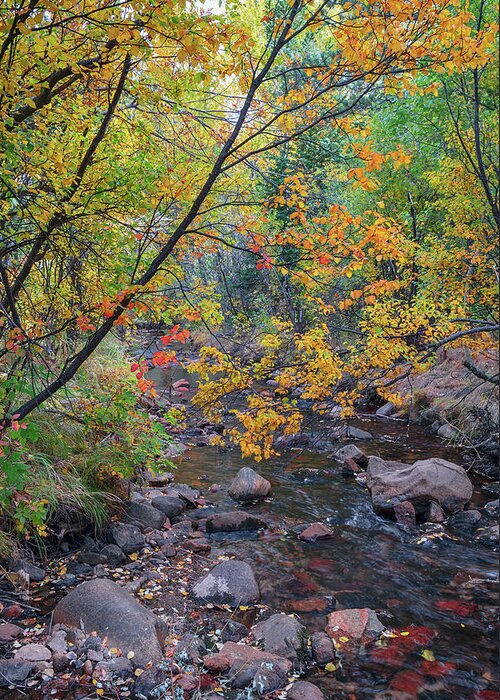 Peaceful Greeting Card featuring the photograph Peaceful Colorful Left Hand Creek by James BO Insogna