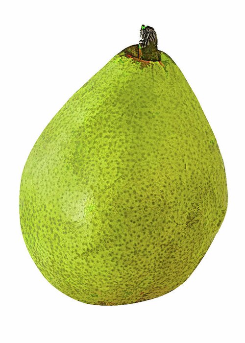 Pear. Pyrus Greeting Card featuring the photograph Pear On White Background by Gary Slawsky