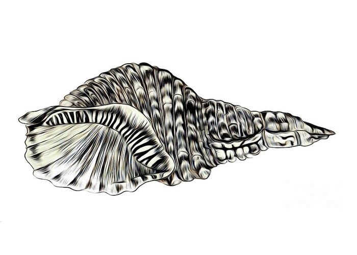 Pen And Ink Tulip Sea Shell Liquid Lines Abstract Effect Greeting Card featuring the drawing Pen and Ink Tulip Sea Shell Liquid Lines Abstract Effect by Rose Santuci-Sofranko