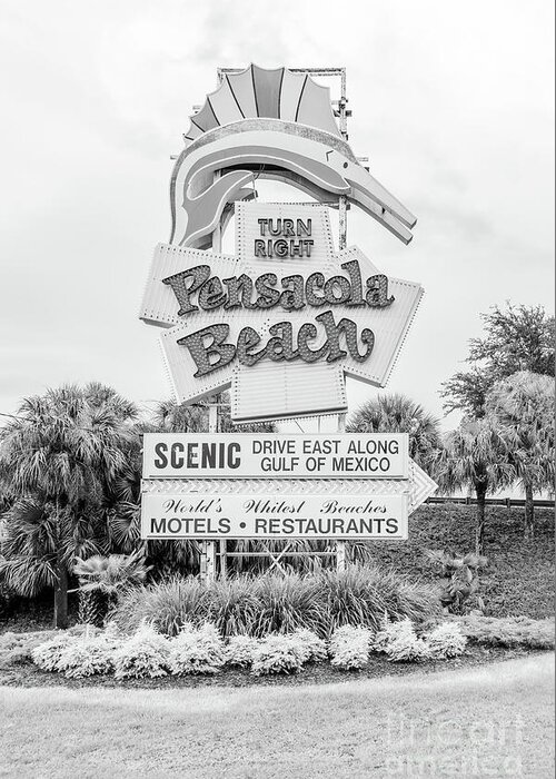 2018 Greeting Card featuring the photograph Pensacola Beach Sign Black and White Photo by Paul Velgos