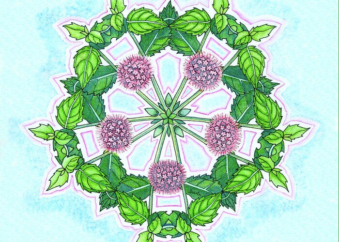 Peppermint Greeting Card featuring the drawing Peppermint Mandala by Antony Galbraith