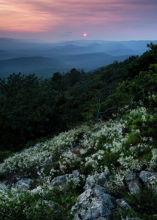 Sunset Greeting Card featuring the photograph Perfect Balance - Queen Wilhelmina State Park at Sunset - Summer - Arkansas 2020 If we once, and for by William Rainey