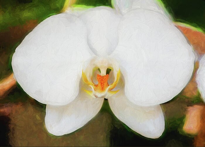 Orchids Greeting Card featuring the photograph Perfect Phalaenopsis Orchid 125 by Rich Franco