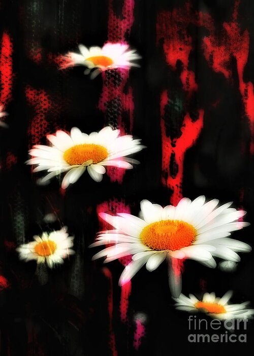 Daisy Greeting Card featuring the painting Peripheral Vision by Jacqueline McReynolds