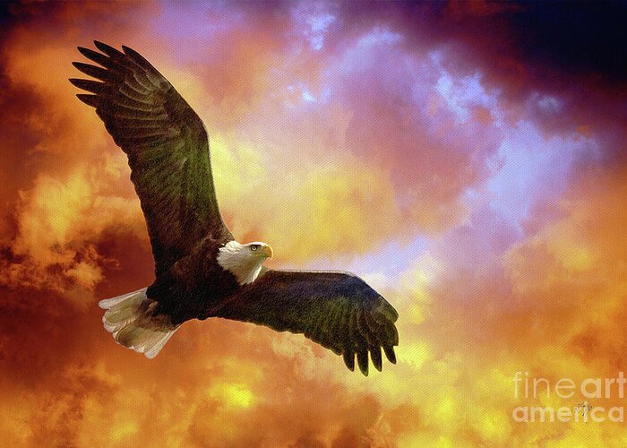 Eagle Greeting Card featuring the photograph Perseverance by Lois Bryan