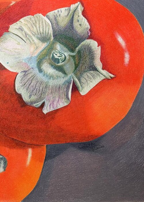 Persimmon Greeting Card featuring the drawing Persimmons by Colette Lee