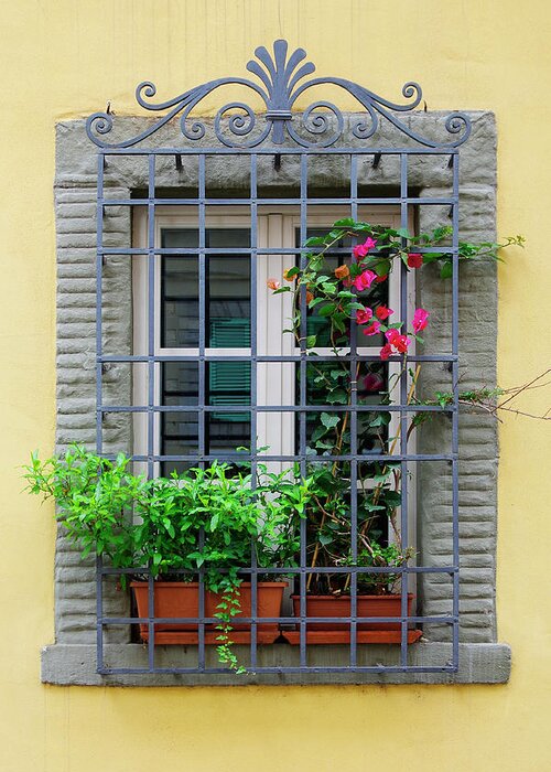 Lucca Greeting Card featuring the photograph Picture Window - Window bars and flower pots on tis yellow wall in Lucca Italy by Kenneth Lane Smith