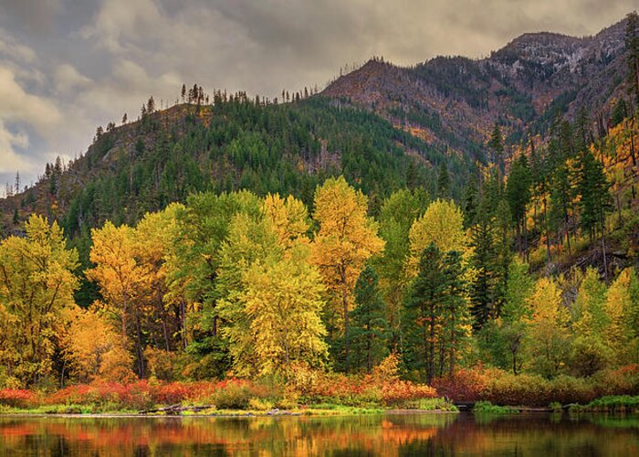 Fall Greeting Card featuring the photograph Picturesque Tumwater Canyon by Dan Mihai