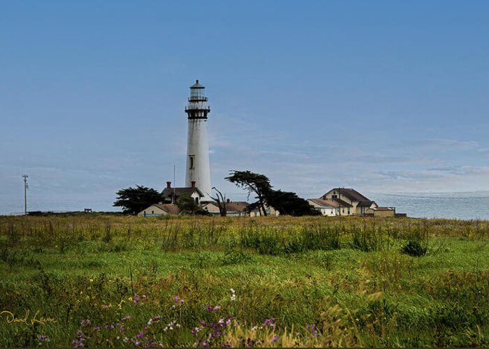 Lighthouse Greeting Card featuring the photograph Pigeon Point Lighthouse by David Levin