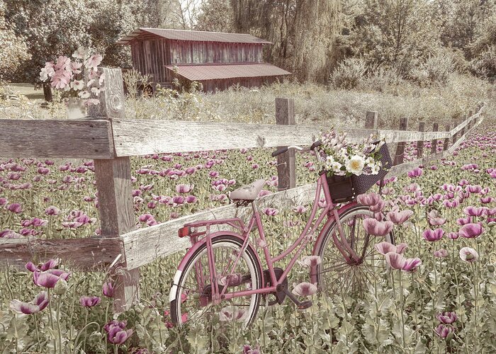 Andrews Greeting Card featuring the photograph Pink Bicycle in the Farmhouse Poppies by Debra and Dave Vanderlaan