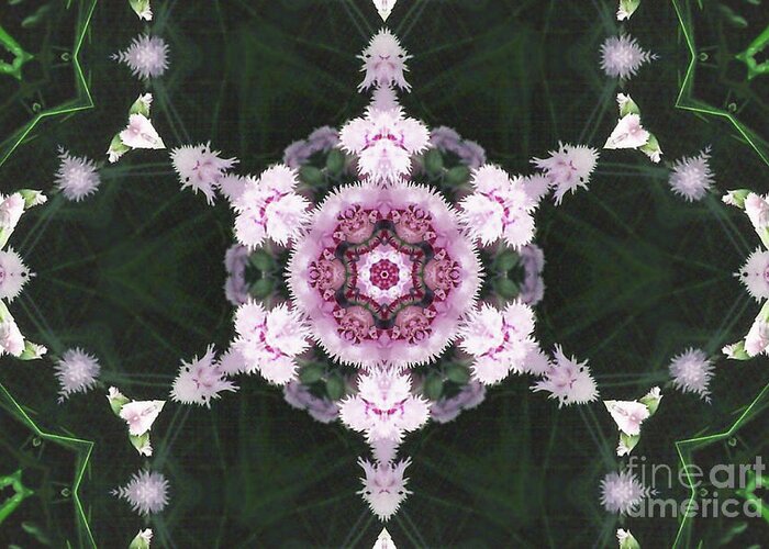 Pink Dianthus Greeting Card featuring the digital art Pink Dianthus Kaleidoscope-2 by Charles Robinson