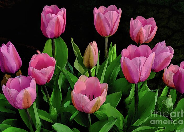 Pink Greeting Card featuring the photograph Pink Impressions - Springtime Tulips by Diana Mary Sharpton