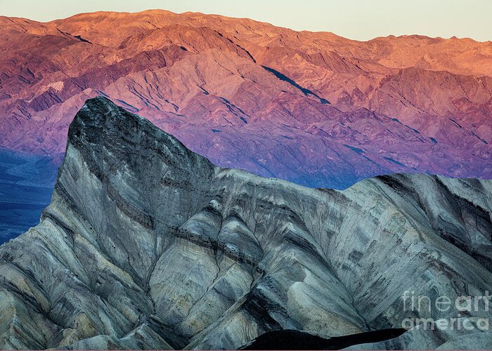 Death Valley Greeting Card featuring the photograph Pink Moment by Erin Marie Davis
