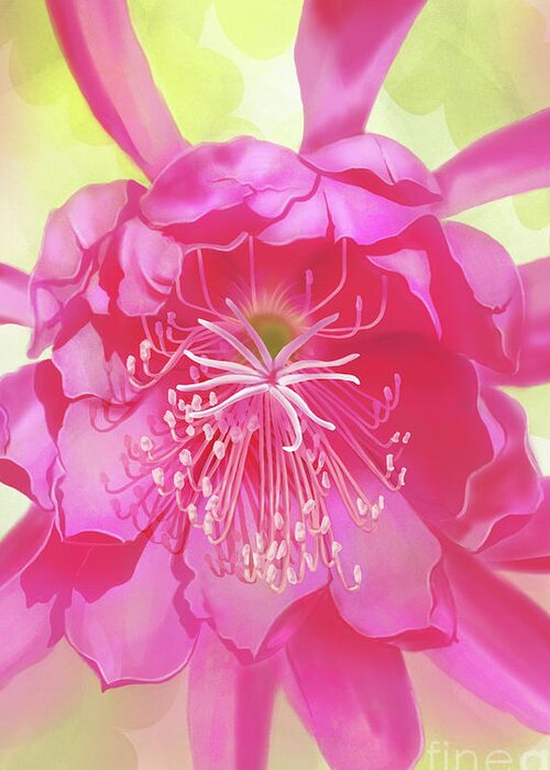 Orchid Greeting Card featuring the mixed media Pink Orchid Cactus by Shari Warren